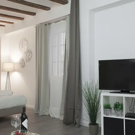 Διαμέρισμα Singularstays Mercado Βαλένθια