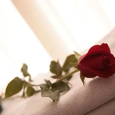 Antigua Morellana Gasthof *