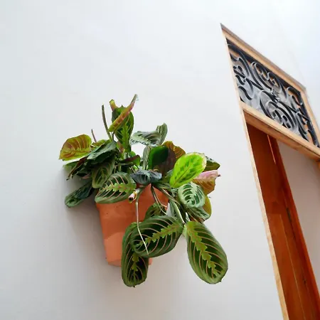 Bird House 3* バレンシア