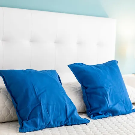 Travel Habitat Mestalla