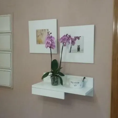 En La Ciudad De Artes Y Ciencias * Valencia