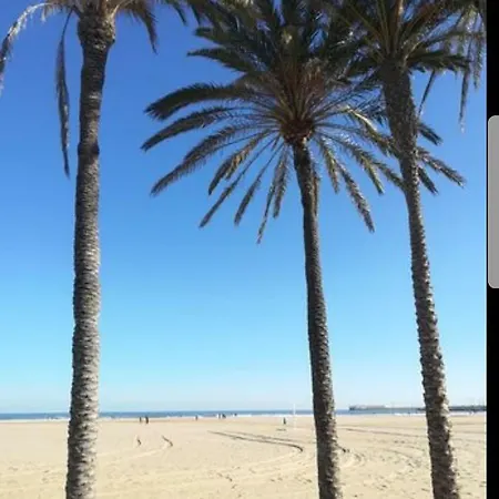 Mar Y Sol *