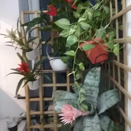 New Trendy Apartment *
