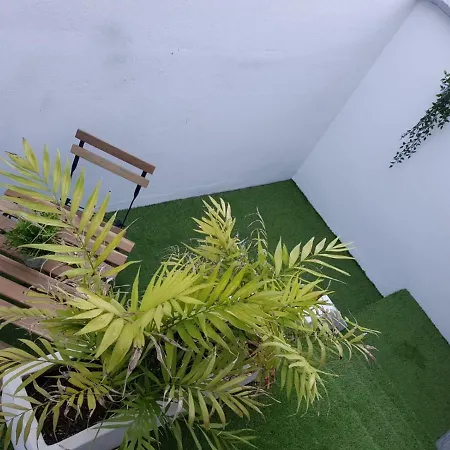 Hotel Florista Bonito Alojamiento Bien Comunicado