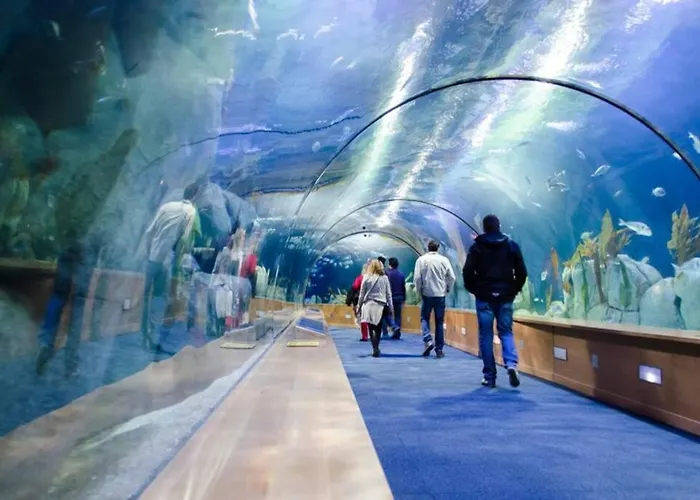 Διαμέρισμα Loft Torres Quart-valencia Center *