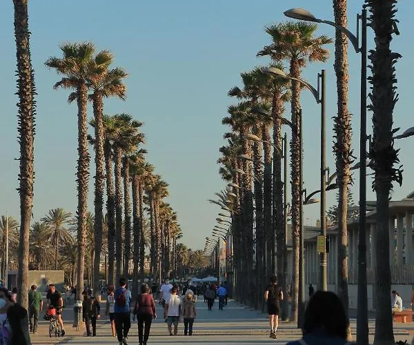 아파트 Atico Patacona Playa