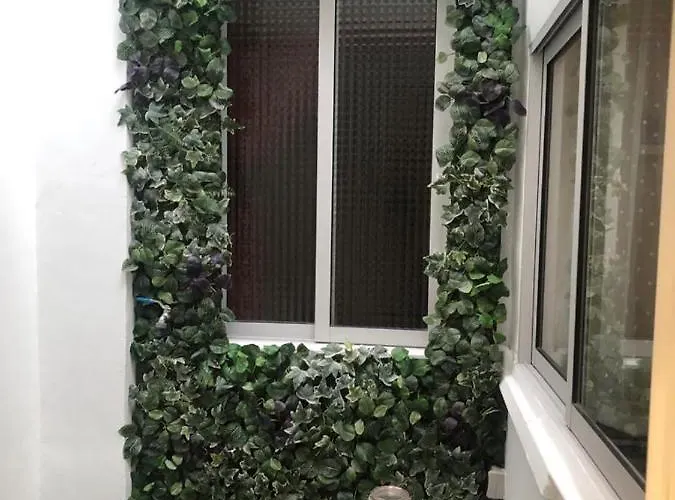 Bruno&playa De Valenza