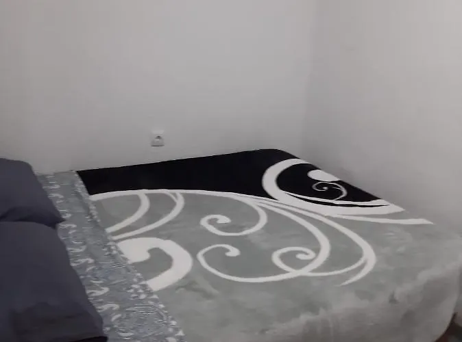 Grande En Piso Compartido Con 2 Adultos *