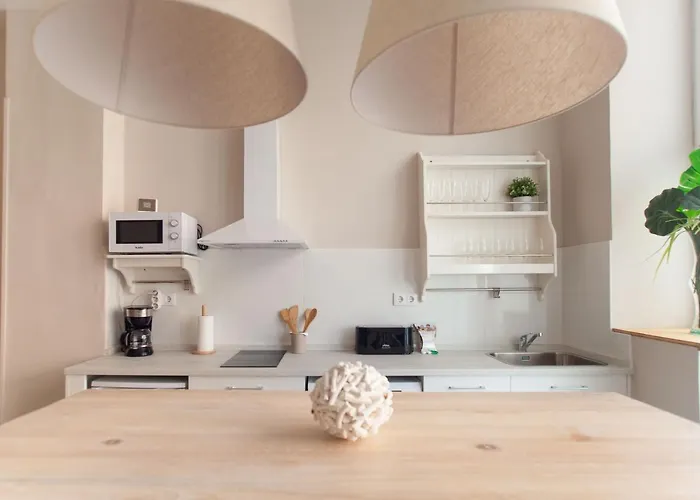 Md Patacona Mid-term *