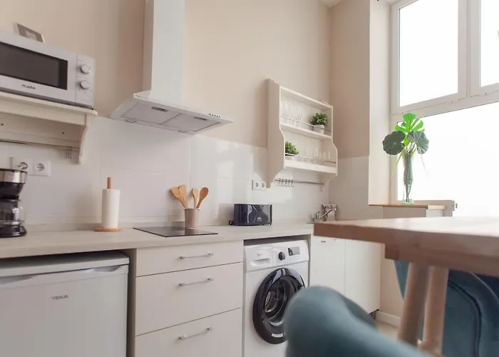 Md Patacona Mid-term * 발렌시아