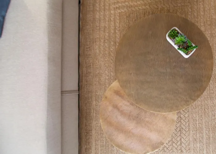 Md Patacona Mid-term *