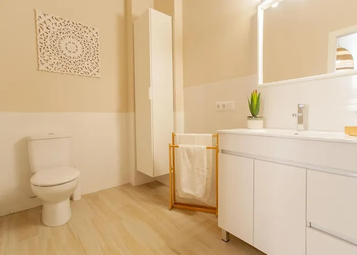 Md Patacona Mid-term 발렌시아