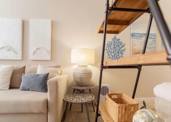 Md Patacona Mid-term *