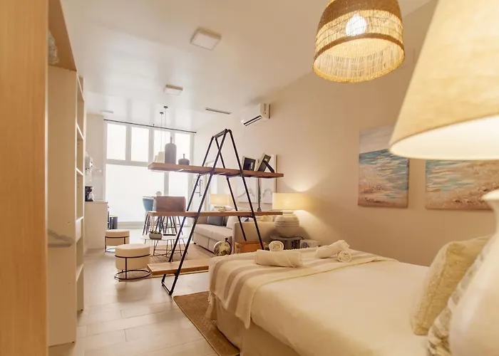 Md Patacona Mid-term