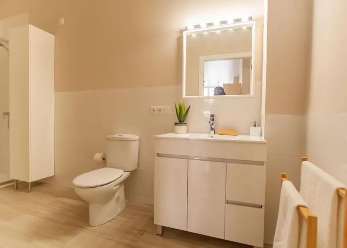 Md Patacona Mid-term *