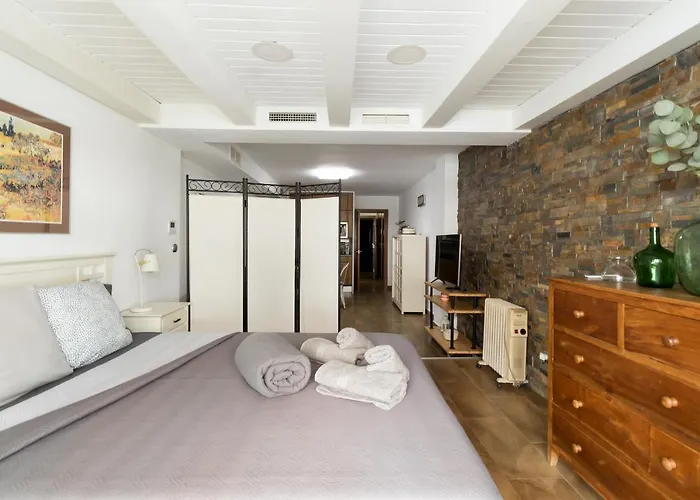 Loft Con Terraza Centro شقة