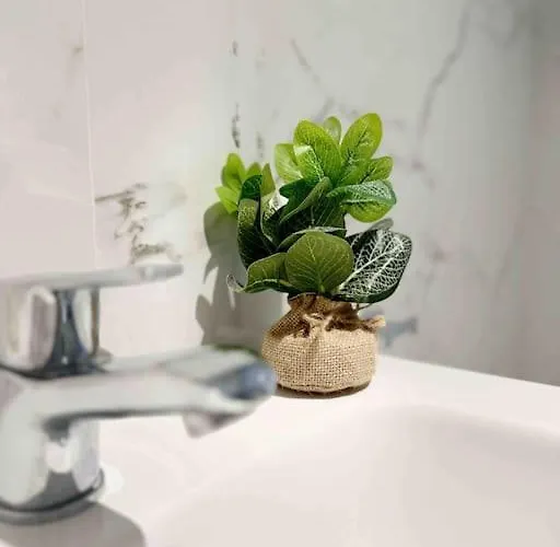 - Cabanyal Boutique 발렌시아