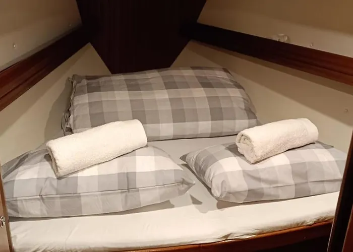 Velero Shabbak Valencie