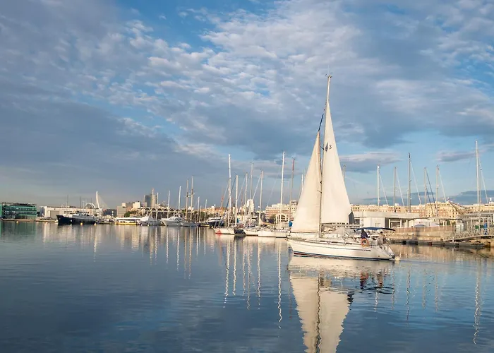 Velero Shabbak Valencie