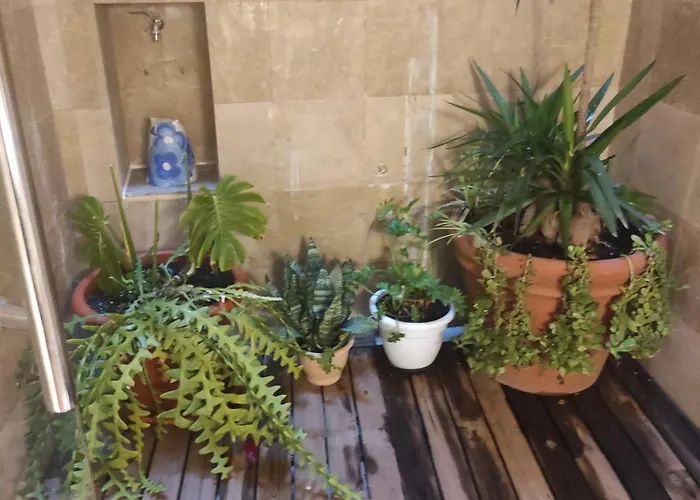 En Plom Διαμέρισμα Βαλένθια