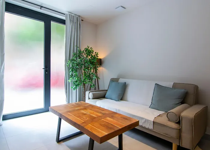 Vlc Host - Luz Casanova