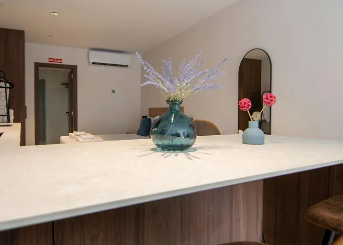 아파트 Vlc Host - Luz Casanova