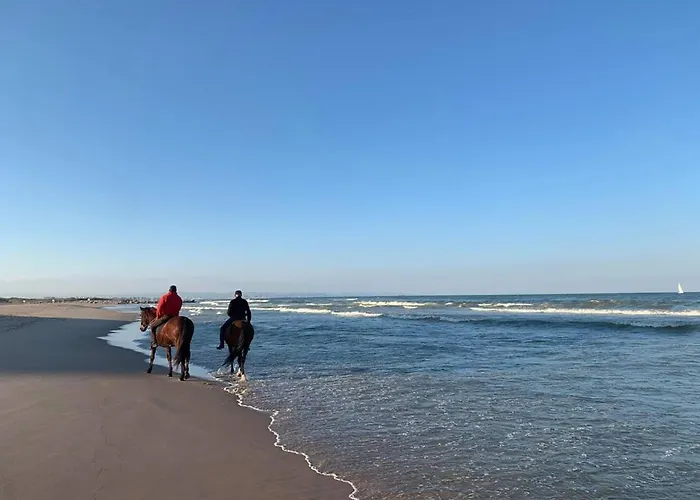 Retreat Διαμέρισμα Βαλένθια