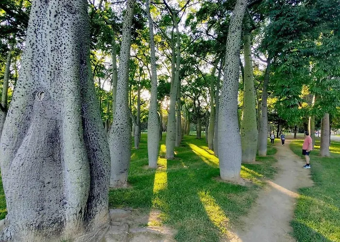 Charming In The Center فالنسيا