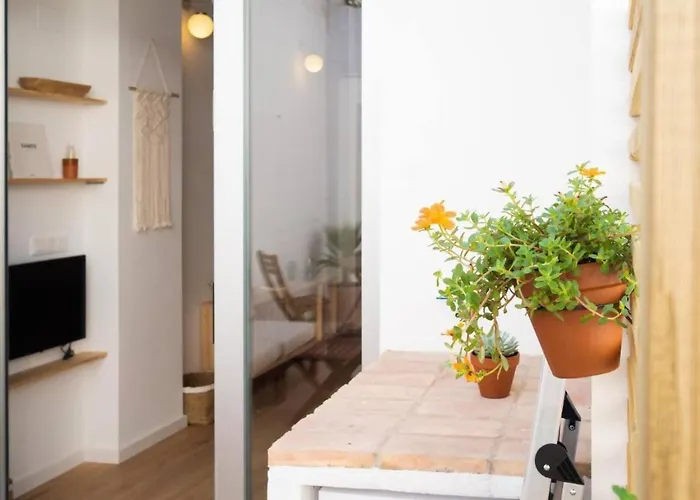 Apartmán Casa Valenciana Con Terraza