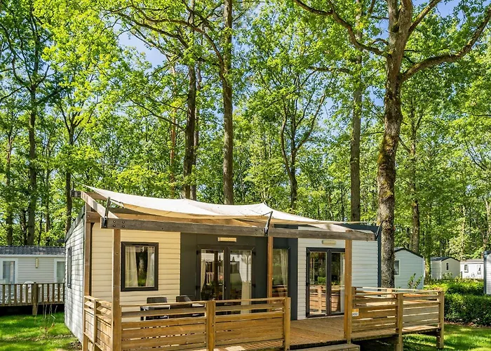 District Key - Valencia, Plaza Del Cedro