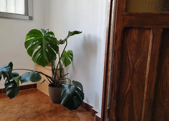 Agui House * Valencia