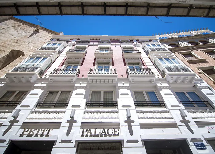 Petit Palace Plaza De La Reina فندق 3*