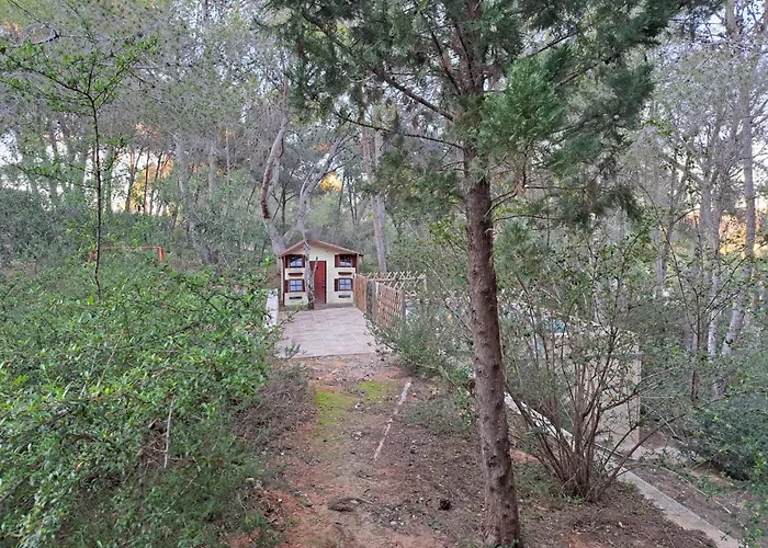 La Casa Del Bosque Tatil Evi