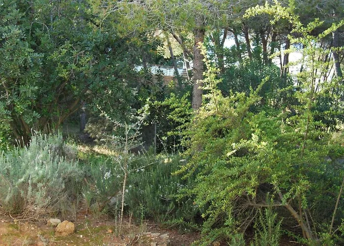 La Casa Del Bosque Tatil Evi