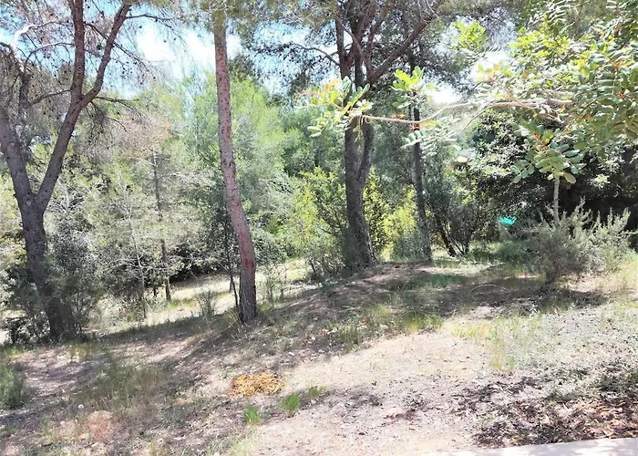 Tatil Evi La Casa Del Bosque Valensiya