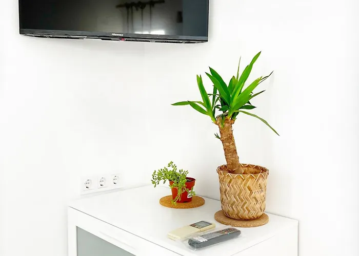 Work Study * 瓦伦西亚