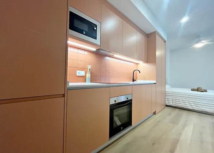 Loft En El Centro De Botanico 3 * Valensiya