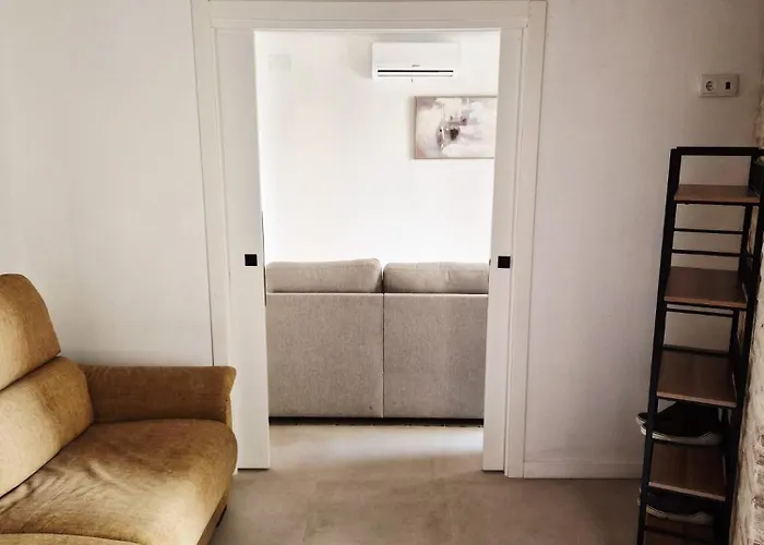 Catedral 瓦伦西亚