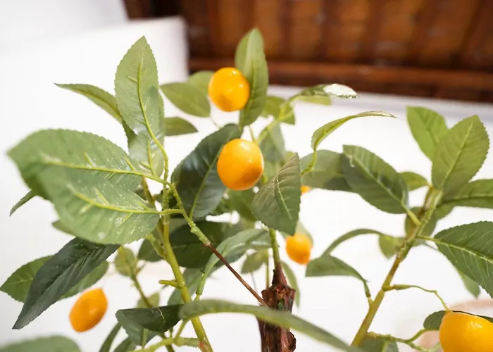 Pinedo Playa Rustico Lejlighed Valencia