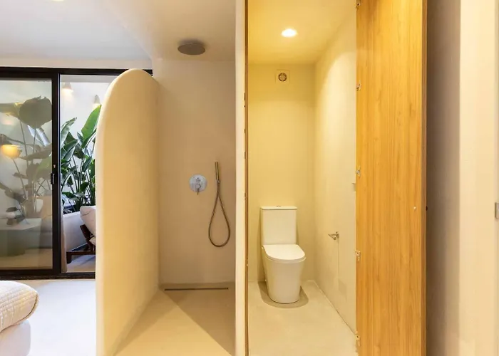 Vlc Host - Reina 166 B