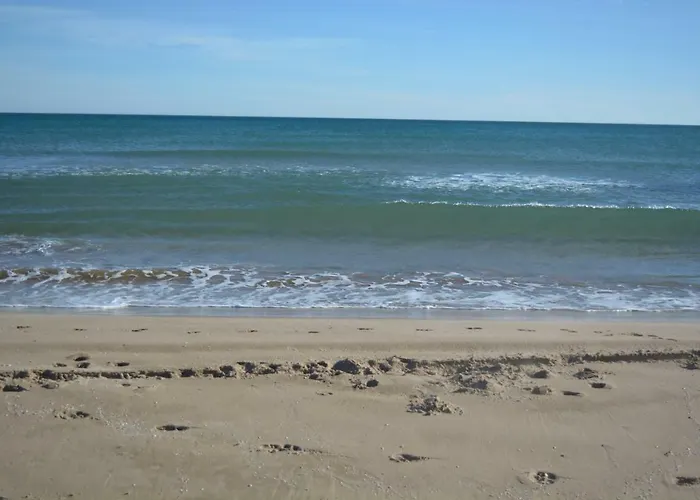 公寓 阿雷纳2号公寓 瓦伦西亚