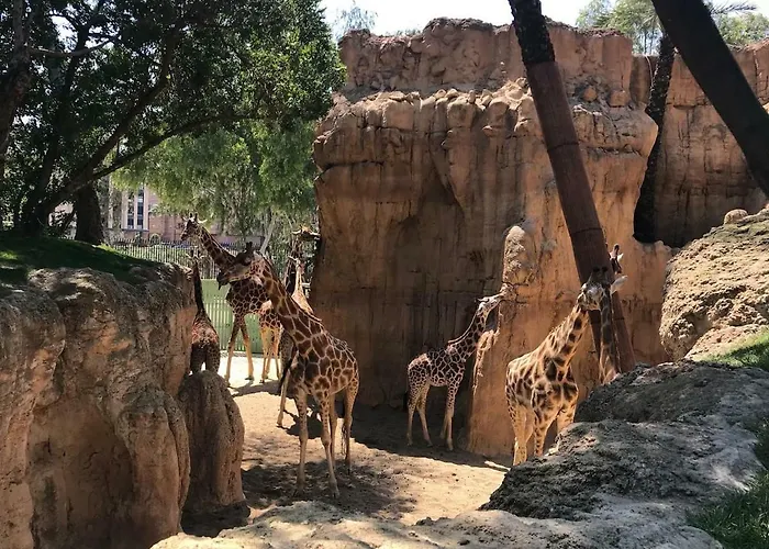 Διαμέρισμα Cozy In Valencia! Wi-fi !