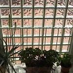 你的米卡萨公寓 公寓 *