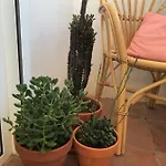 Appartement Elsa
