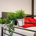 Guest Cool Loft Autocheck Center Historic 3* Valencia
