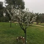 公寓 你的米卡萨公寓 *