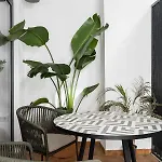 Exclusivo Loft Con Terraza En Ciudad Artes Y Cienc Lägenhet Valencia