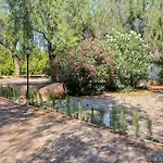 度假居 Huerto Valenciano - Sol Y Tranquilidad - Piscina *
