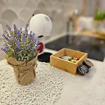 Apartment Lounge Garden Sea Relax *