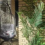 Apartmán Terrasa De Mercado Valencie